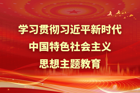 學(xué)習(xí)貫徹習(xí)近平新時(shí)代中國特色社會(huì)主義思想主題教育