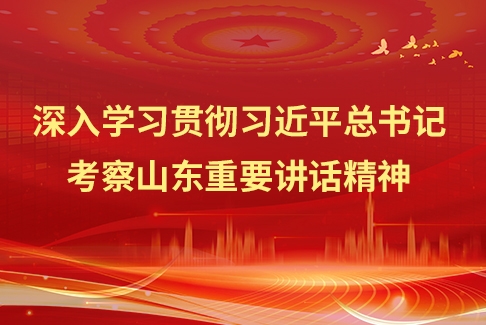 深入學(xué)習(xí)貫徹習(xí)近平總書(shū)記考察山東重要講話(huà)精神